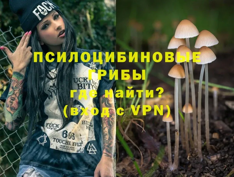 Галлюциногенные грибы Psilocybe  Зуевка 